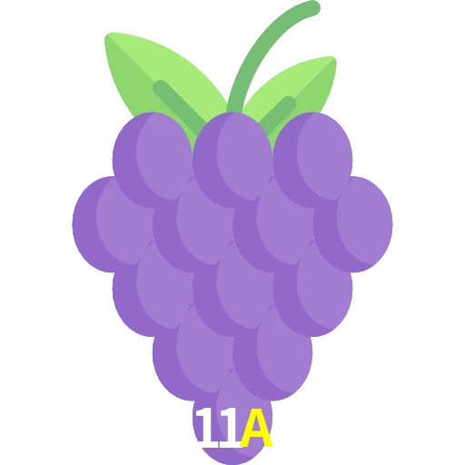 11A
